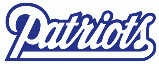 New England Patriots 1993-1999 Wordmark Logo iron on transfers for clothing